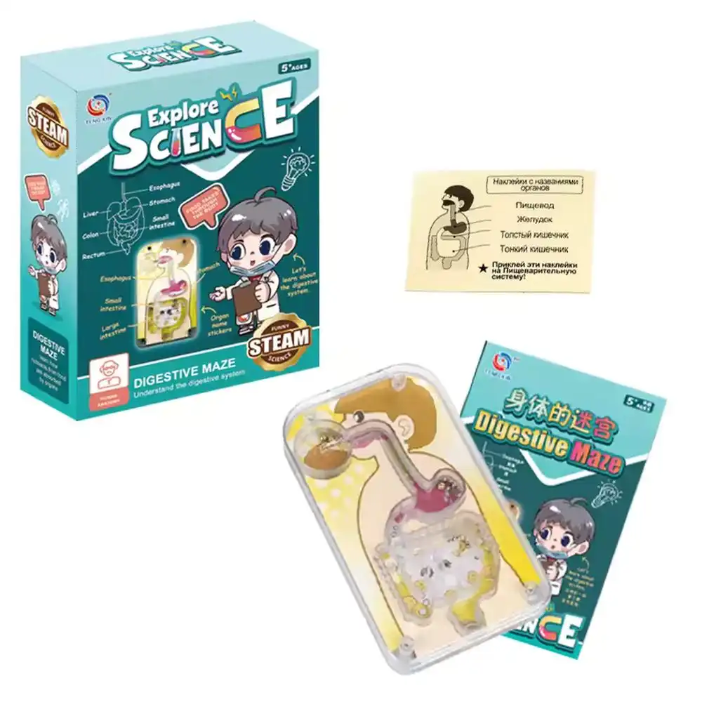 Explore Science Digestive Maze - TXL-116