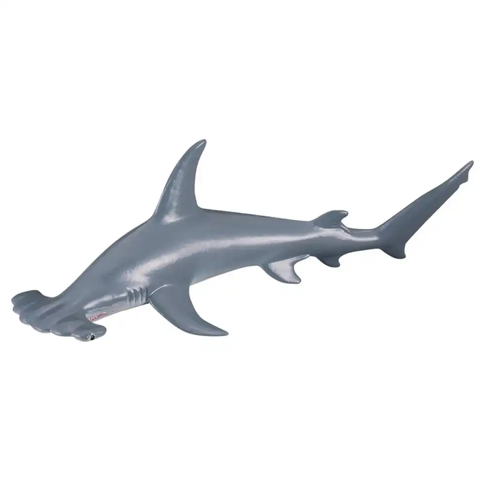 Collecta - Scalloped Hammerhead Shark - 88045