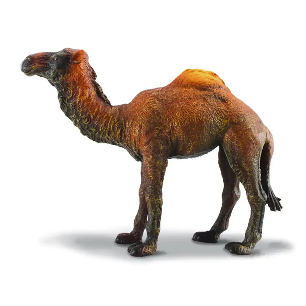 小物 HYEON ted stole camel Reyes Boot Wool - HEYDUDE