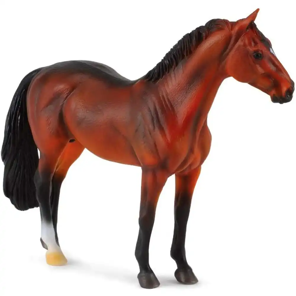 Collecta - Hanoverian Stallion Bay - 88431