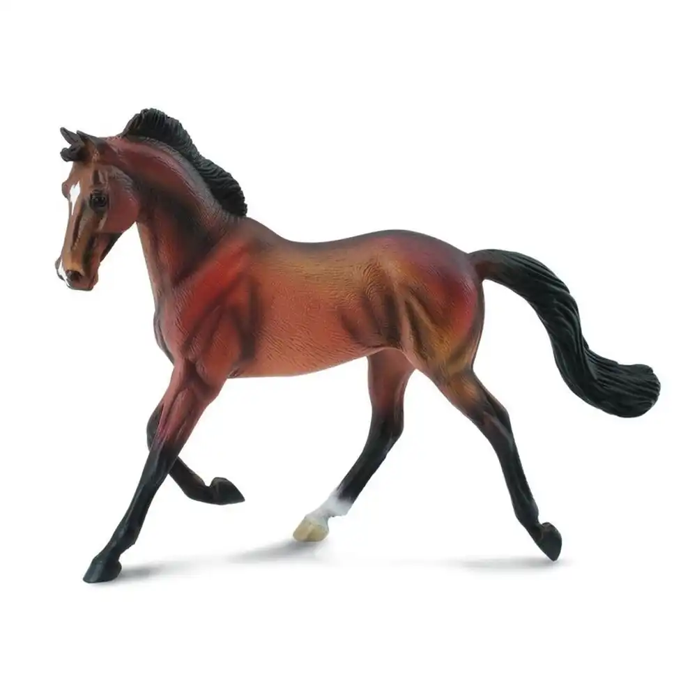 Collecta - Thoroughbred Mare Bay - 88477