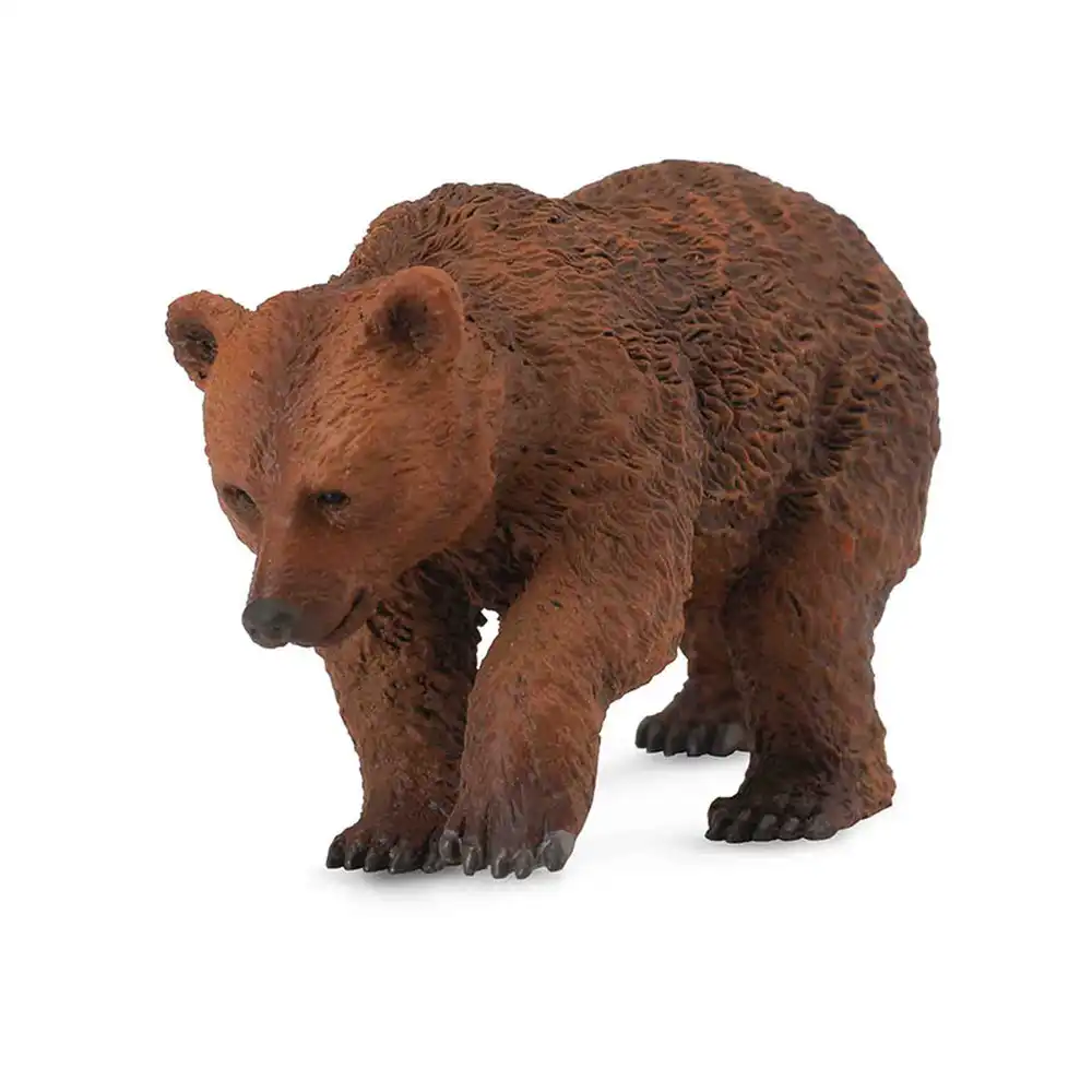 Collecta - Brown Bear Cub - 88561
