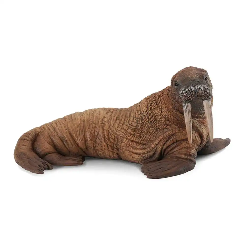 Collecta - Walrus - 88569