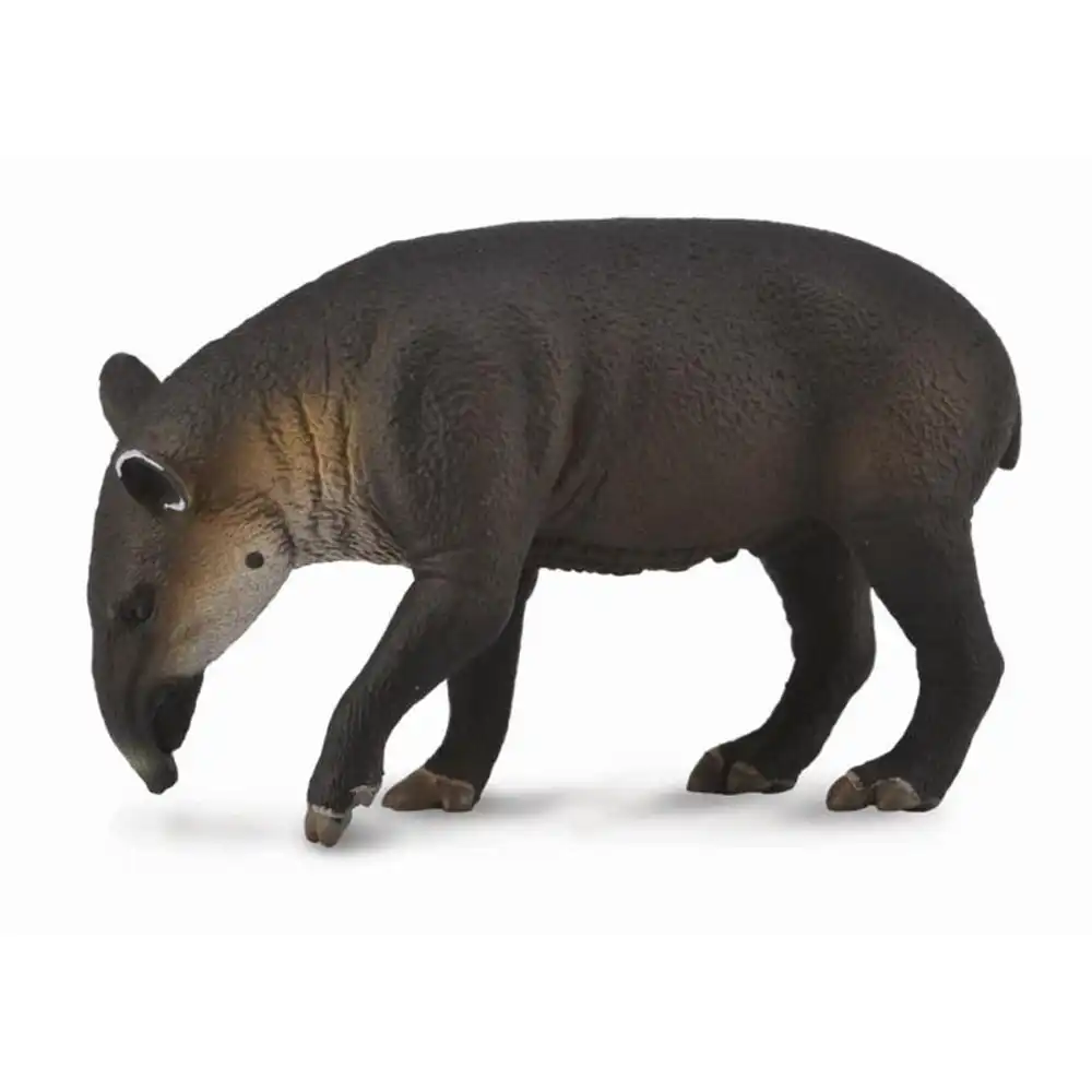 Collecta - Baird's Tapir - 88596