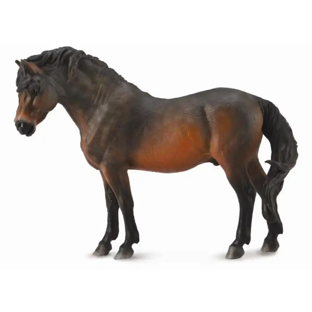 Collecta - Dartmoor Pony - 88604