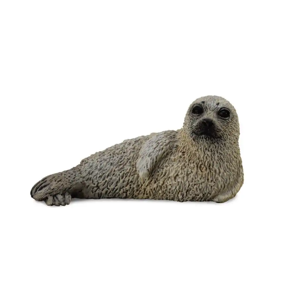 Collecta - Spotted Seal Pup - 88681