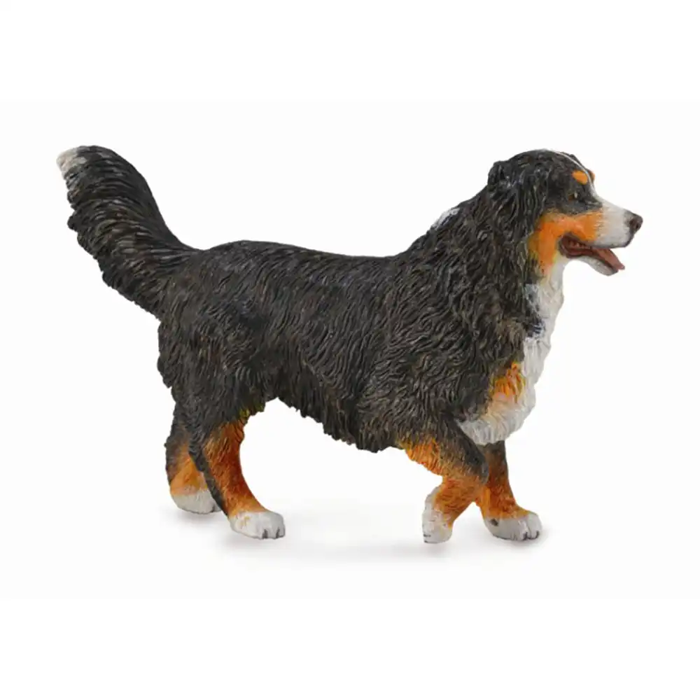 Collecta - Bernese Mountain Dog - 88801