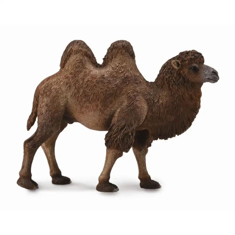 Collecta Figur 88240 - Handbemalte, Realistische Tierreplik Für Sammler Und Edukatives Spiel