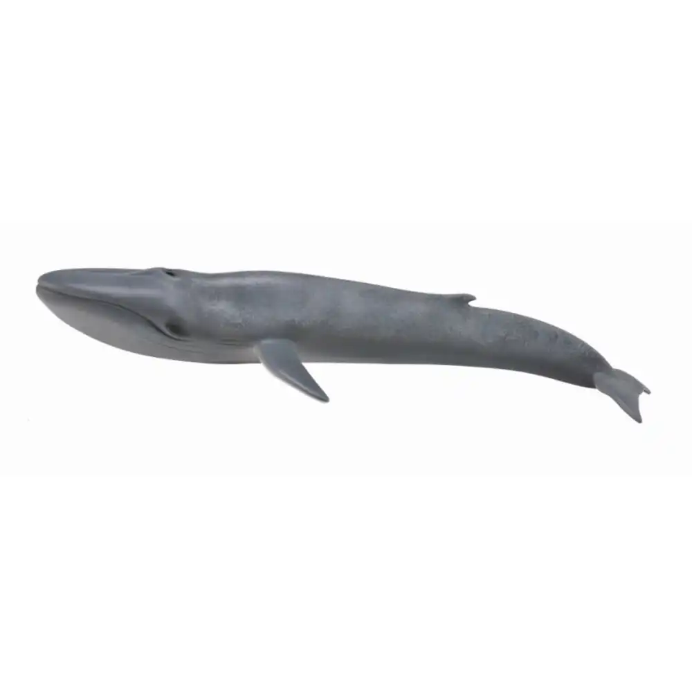 Collecta - Blue Whale - 88834