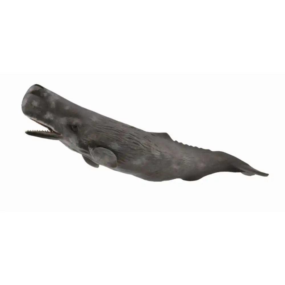 Collecta - Sperm Whale - 88835