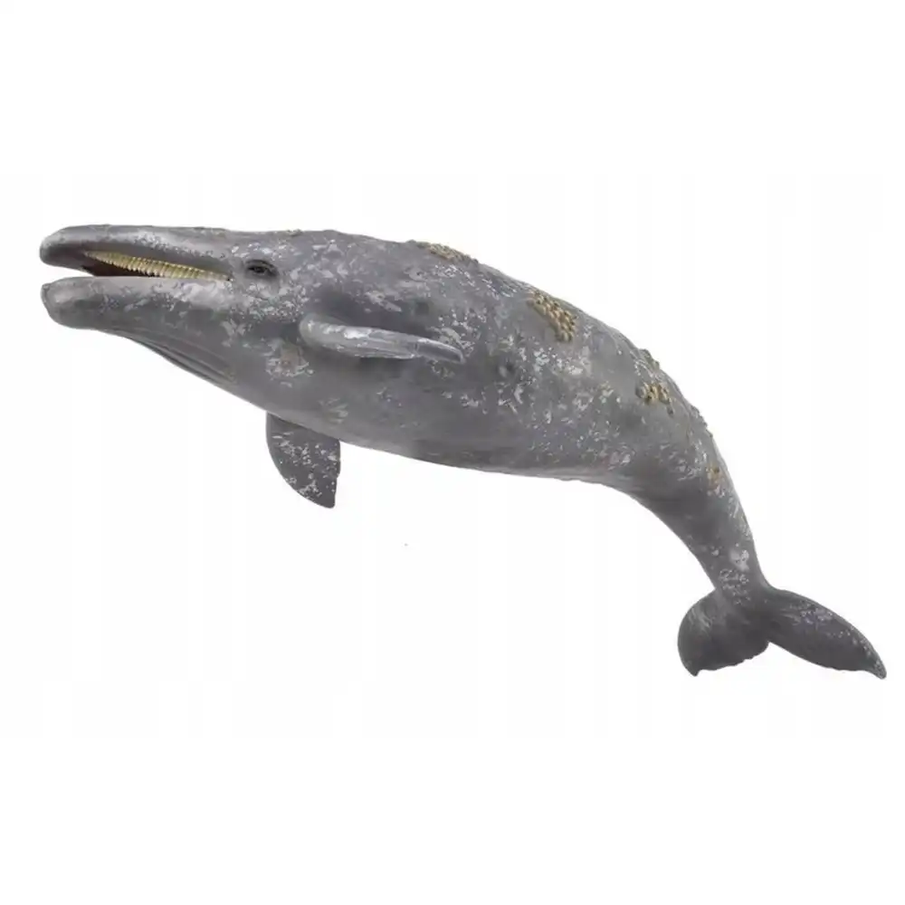 Collecta - Gray Whale - 88836
