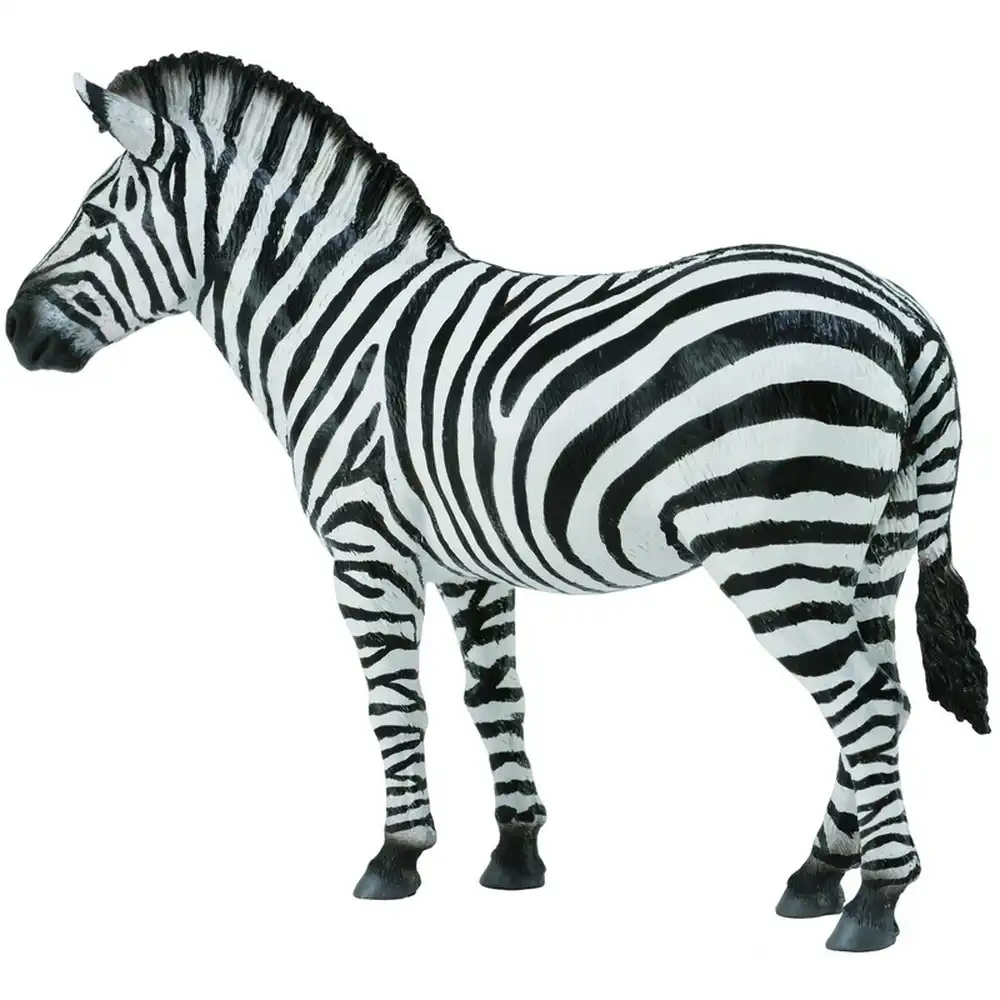 Collecta - Zebra Foal - 88850
