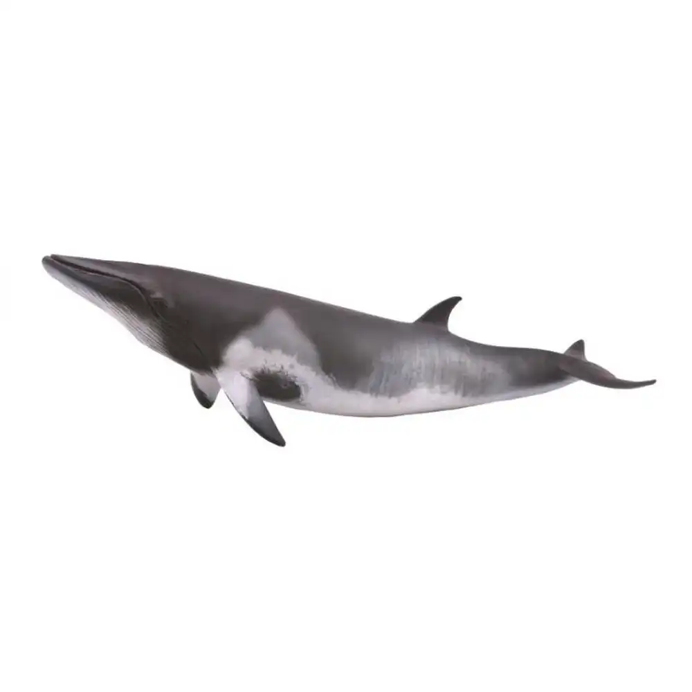 Collecta - Minke Whale - 88862
