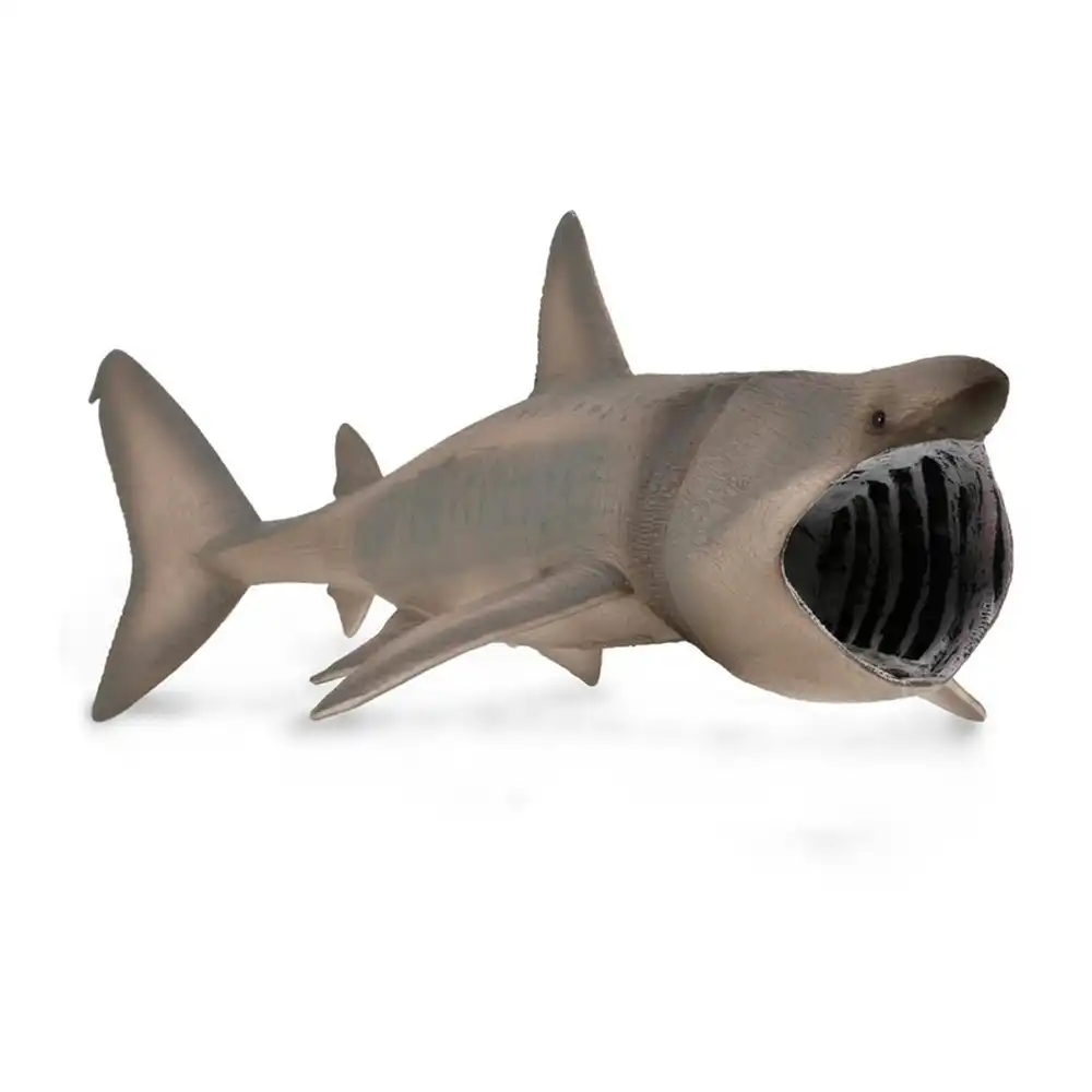 Collecta - Basking Shark - 88914