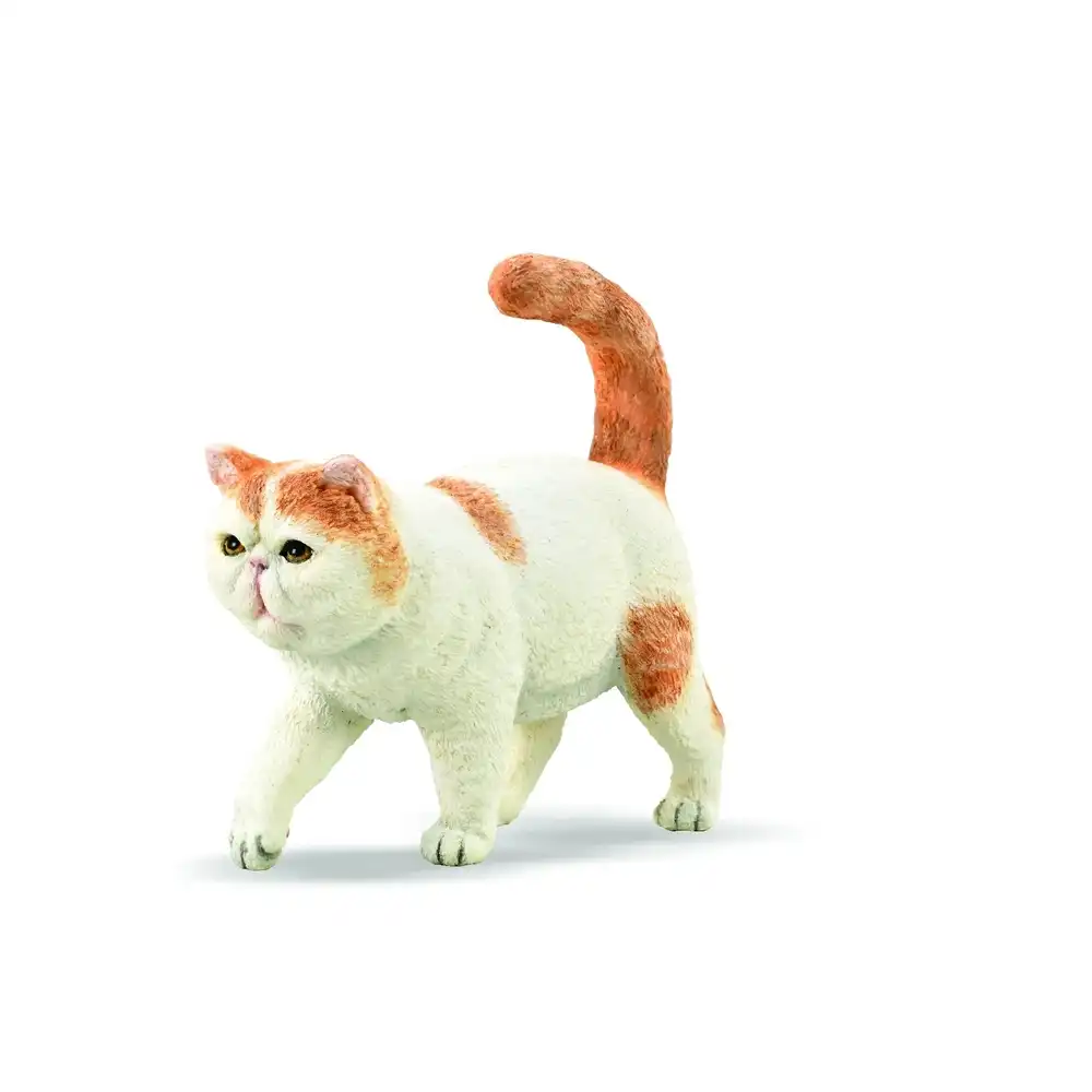 Collecta - Exotic Shorthair Cat - 88937