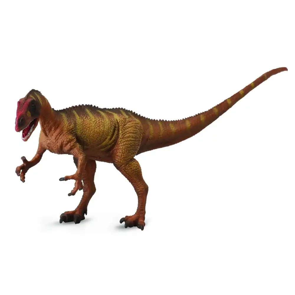 Collecta - Neovenator Dinosaur 1/40 Scale - 89452