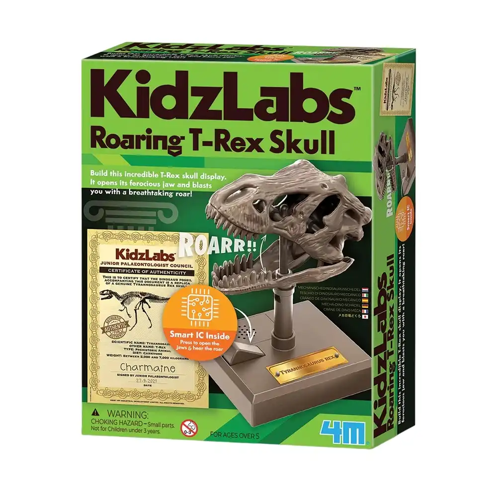 4M - KidzLabs Roaring T-Rex Skull - 03399