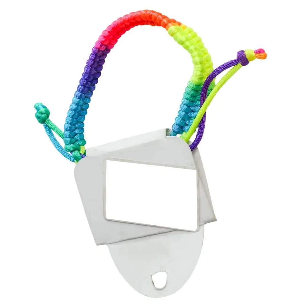 Multicolor Necklace - 2758