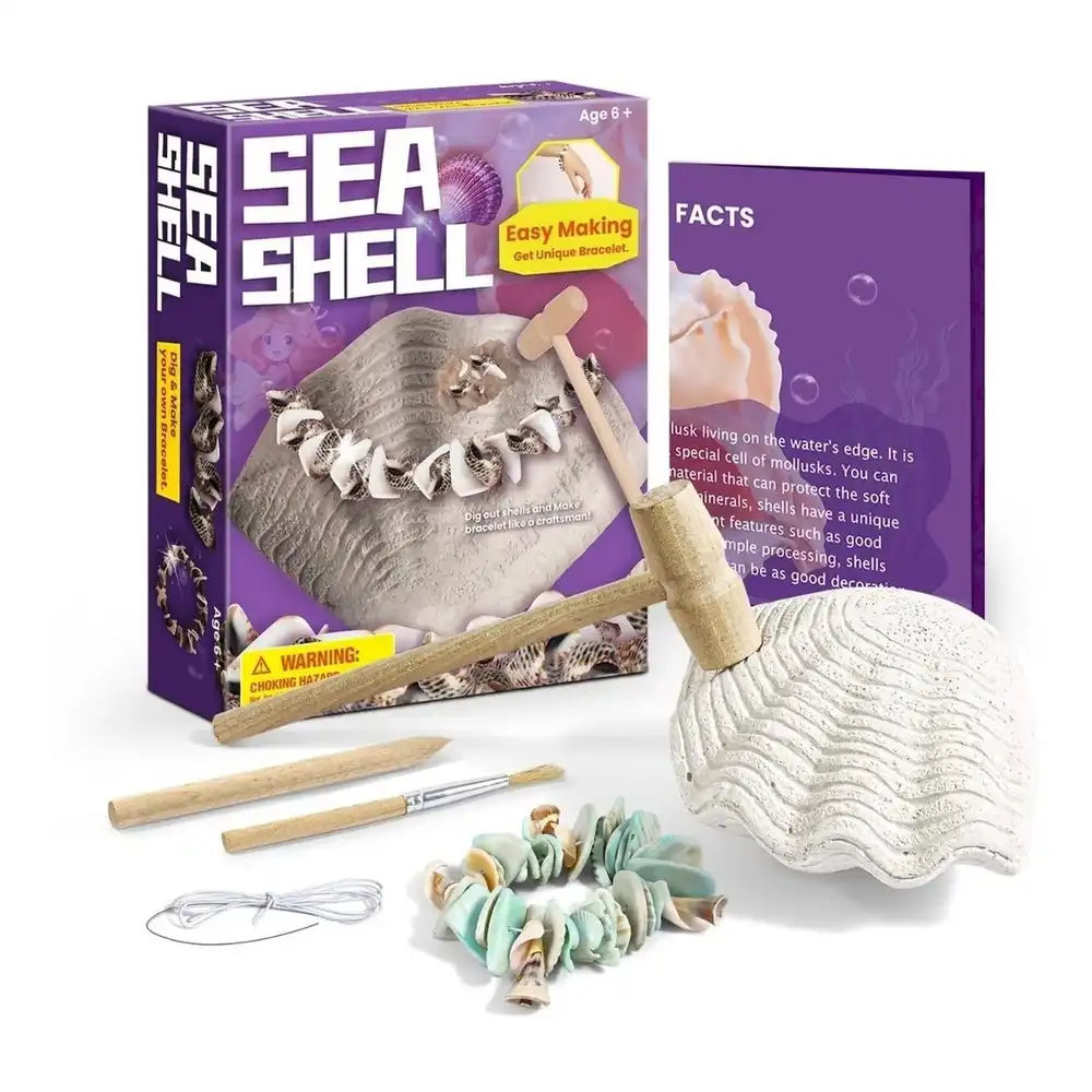 Eduman - Sea Shell Dig & Make Bracelet Kit - D7106G